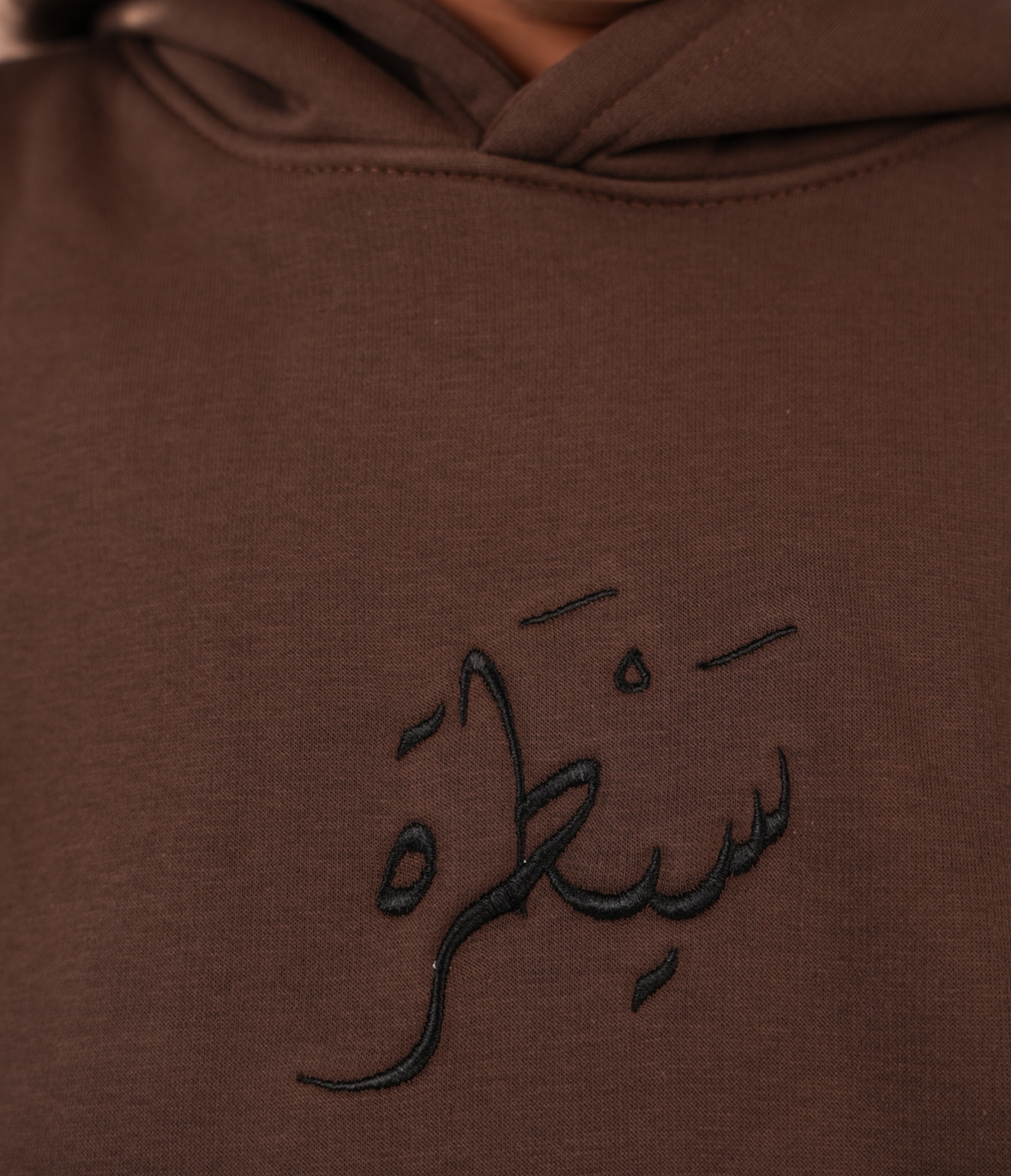 Sayatara pharaonic embroidered brown hoodie
